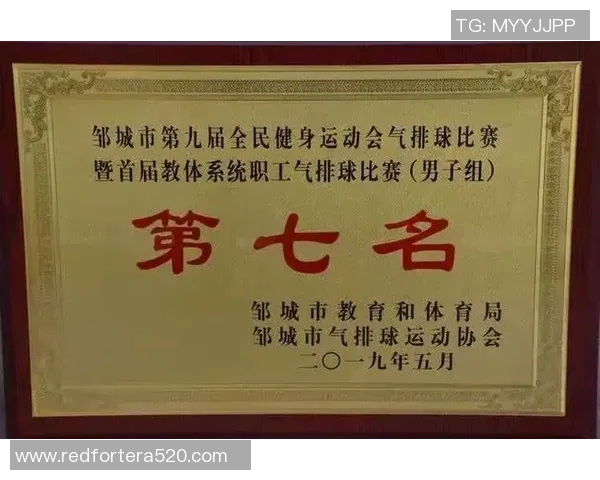 排球技术排行榜揭晓北京排球队荣获第九名成就辉煌